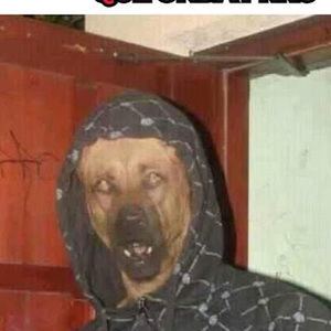 Meet your Posher, Christian